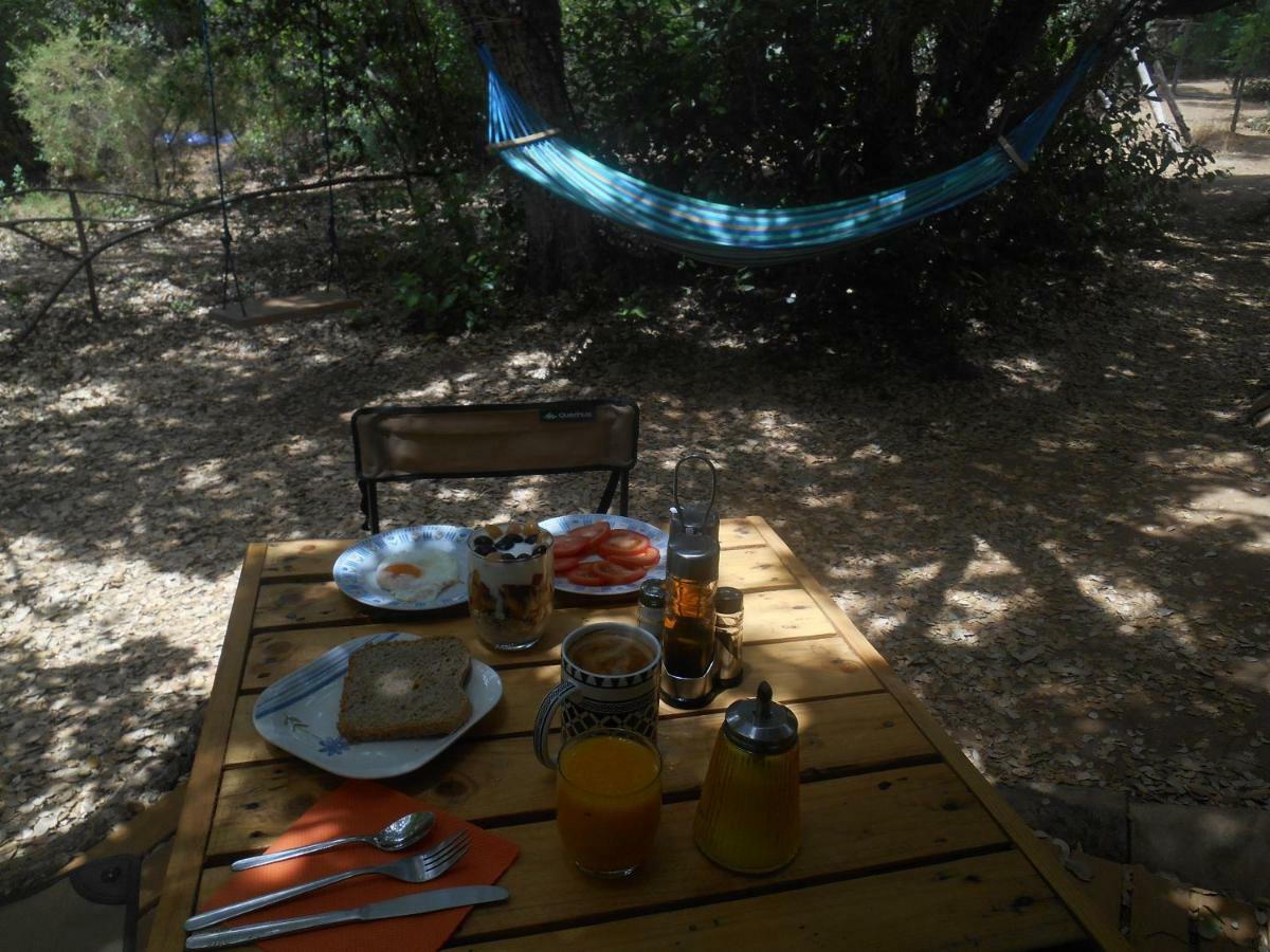La Cabana Del Alcornoque Kordoba Zewnętrze zdjęcie